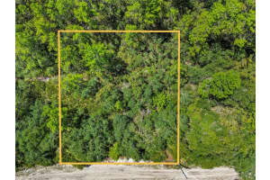 00 SE 142 PL, UMATILLA, FL 32784 - MLS#MFROM706996