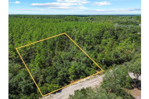 00 SE 142 PL, UMATILLA, FL 32784 - MLS#MFROM706996