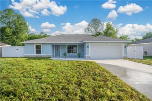 3662 140TH PLACE, SUMMERFIELD, FL 34491 - MLS#MFROM706997