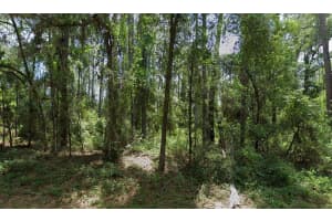 1032 VERCELLI LANE, CITRUS SPRINGS, FL 34434 Sold 10/15/25