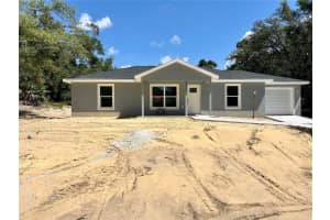 4031 140TH LANE, SUMMERFIELD, FL 34491 - MLS#MFROM707051
