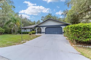16789 69TH LANE, OCKLAWAHA, FL 32179 - MLS#MFROM707072
