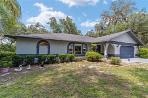 16789 69TH LANE, OCKLAWAHA, FL 32179 - MLS#MFROM707072