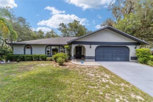 16789 69TH LANE, OCKLAWAHA, FL 32179 - MLS#MFROM707072