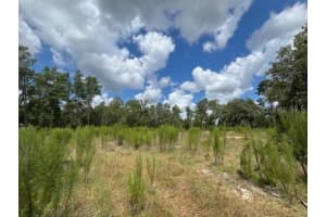 TBD 109 LOOP, OCALA, FL 34476 - MLS#MFROM707082