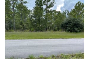 SW 88TH CT, OCALA, FL 34473 - MLS#MFROM707100