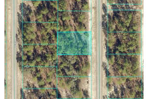 SW 88TH CT, OCALA, FL 34473 - MLS#MFROM707100