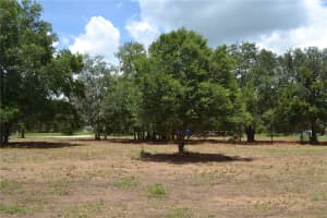 00 W HWY 40, OCALA, FL 34481 - MLS#MFROM707101
