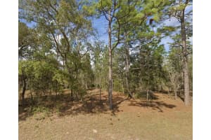 0 85TH PLACE, DUNNELLON, FL 34432 Sold 09/15/25