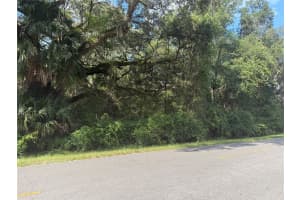 tbd SW 155TH ST SW, DUNNELLON, FL 34432 - MLS#MFROM707186
