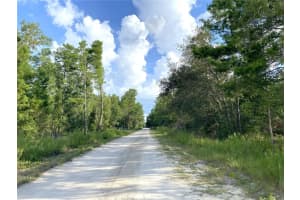 00 139TH AVENUE, WILLISTON, FL 32696 Sold 09/22/25