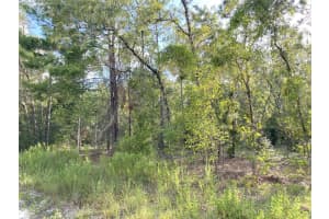 00 139TH AVENUE, WILLISTON, FL 32696 Sold 09/22/25