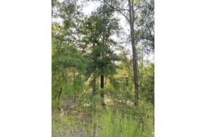 00 139TH AVENUE, WILLISTON, FL 32696 Sold 09/22/25