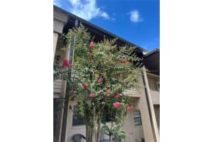 2415 7TH STREET, OCALA, FL 34470 - MLS#MFROM707247