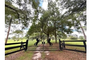 7555 77TH PLACE, OCALA, FL 34476 - MLS#MFROM707268