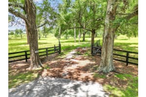 7555 77TH PLACE, OCALA, FL 34476 - MLS#MFROM707268