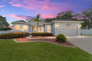 4033 Ne 15th Court Rd, OCALA