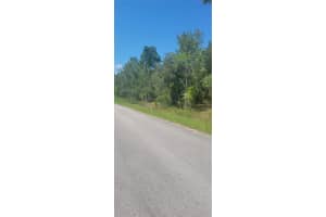 0 BIG BEAR RIDGE, DUNNELLON, FL 34431 - MLS#MFROM707358