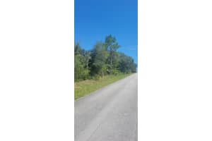 0 BIG BEAR RIDGE, DUNNELLON, FL 34431 - MLS#MFROM707358