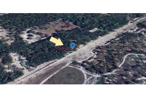 SW 160TH ST, DUNNELLON, FL 34432 - MLS#MFROM707372