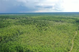 TBD NE 125TH AVE, FORT MC COY, FL 32134 Sold 09/17/25