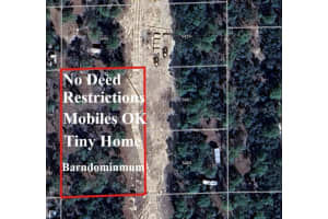 5462 CLARA POINT, HOMOSASSA, FL 34446 - MLS#MFROM707426