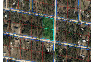 TBD 134TH COURT, WILLISTON, FL 32696 - MLS#MFROM707459