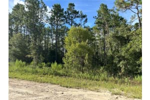 TBD 134TH COURT, WILLISTON, FL 32696 - MLS#MFROM707459