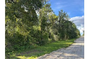 TBD 134TH COURT, WILLISTON, FL 32696 - MLS#MFROM707459