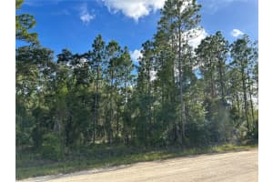 TBD 134TH COURT, WILLISTON, FL 32696 - MLS#MFROM707459