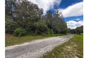 TBD SW 134 TER, DUNNELLON, FL 34432 - MLS#MFROM707464