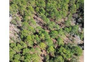 SW 129 TER, OCALA, FL 34481 - MLS#MFROM707467