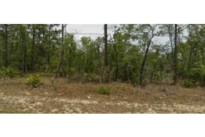 6627 BEDSTROW BOULEVARD, DUNNELLON, FL 34434 - MLS#MFROM707469