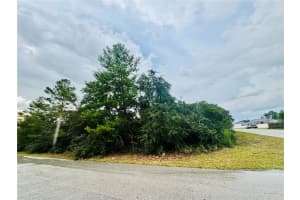 TBD SW 111TH PL, OCALA, FL 34476 - MLS#MFROM707471