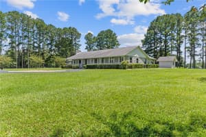 17690 NE STATE ROAD 121, WILLISTON, FL 32696 - MLS#MFROM707474