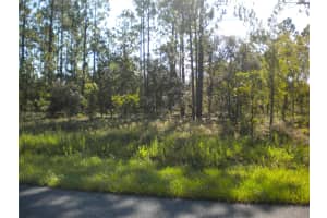 LOT14 136 TH TERRACE, DUNNELLON, FL 34431 - MLS#MFROM707475