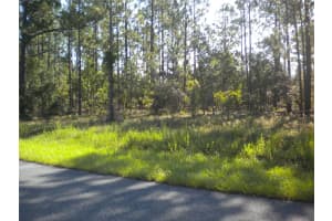 LOT14 136 TH TERRACE, DUNNELLON, FL 34431 - MLS#MFROM707475