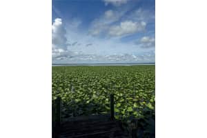 15402 SE US HIGHWAY 301, HAWTHORNE, FL 32640 - MLS#MFROM707481