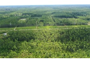 TBD NE 125TH AVE, FORT MC COY, FL 32134 - MLS#MFROM707488