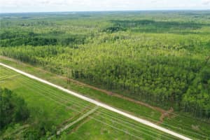 TBD NE 125TH AVE, FORT MC COY, FL 32134 - MLS#MFROM707493