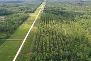 TBD NE 125TH AVE, FORT MC COY, FL 32134 - MLS#MFROM707493