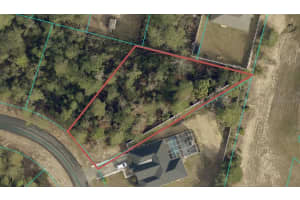 SW 166TH LOOP, OCALA, FL 34473 - MLS#MFROM707500