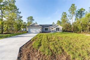 18 OAK PASS RUN, OCALA, FL 34472 - MLS#MFROM707521