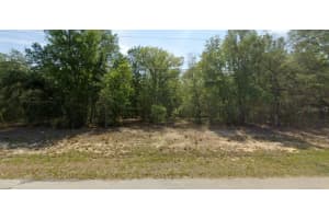 11034 ACADEMY DRIVE, CITRUS SPRINGS, FL 34434 Sold 10/02/25