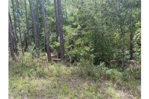 00 87TH LAKE, DUNNELLON, FL 34431 Sold 09/02/25