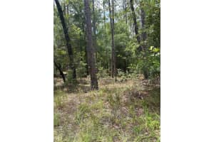 00 87TH LAKE, DUNNELLON, FL 34431 Sold 09/02/25