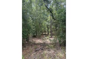 00 87TH LAKE, DUNNELLON, FL 34431 Sold 09/02/25