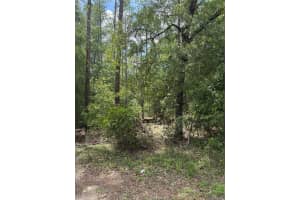 00 87TH LAKE, DUNNELLON, FL 34431 Sold 09/02/25