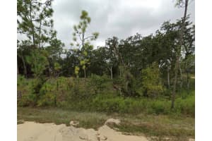 TBD 148 AVENUE, WILLISTON, FL 32696 - MLS#MFROM707621