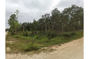 TBD 148 AVENUE, WILLISTON, FL 32696 - MLS#MFROM707621